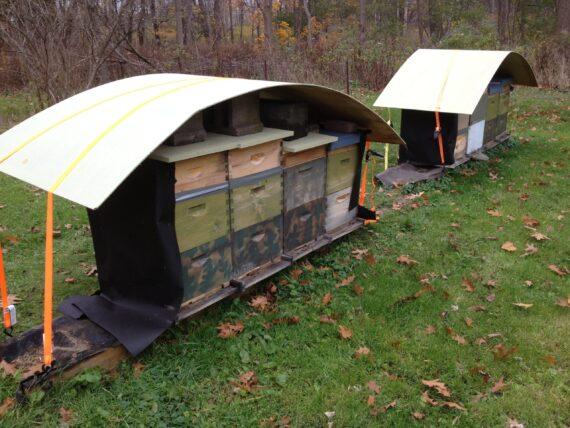 Winterizing Beehives 2013 Https://Www.brightonhoney.com/2013/11/12/ beehives ready for winter
