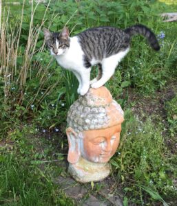 Page Not Found Www.brightonhoney.com 404 Https://Www.brightonhoney.com/Page-Not-Found/ ellie font on buddha