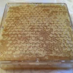 raw cut comb honeycomb brightonhoney.com