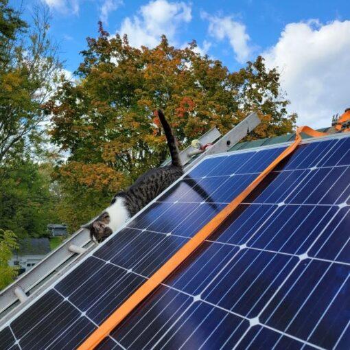 solar install ellie brightonhoney.com