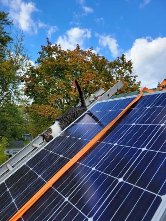 Home Solar Monitoring System: Main Roof Https://Www.brightonhoney.com/Tag/Solar/ solar install ellie brightonhoney.com
